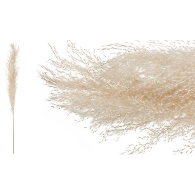 PAMPAS 120cm 0516167 (10 τεμ.)