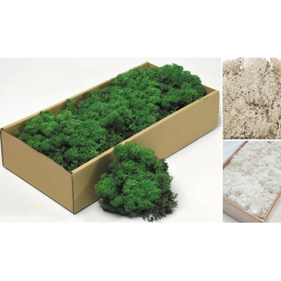 MOSS 500g 0516180 (1 τεμ.)