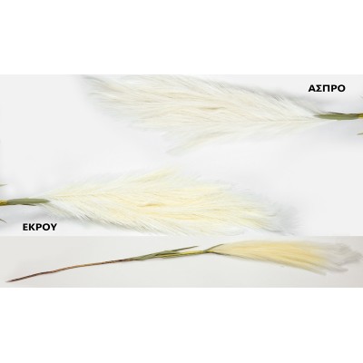 ΚΛΑΔΙ ΤΥΠΟΥ PAMPAS 120cm 0516190 (1 τεμ.)