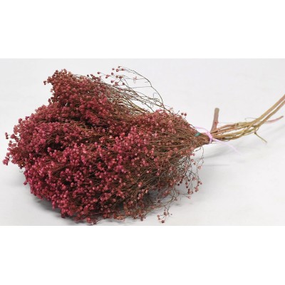 BROOM BLOOM ΡΟΖ 50cm 0924004 (1 τεμ.)