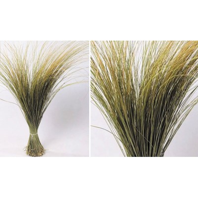 BEACH GRASS XL 120cm 0934500 (1 τεμ.)