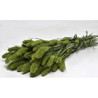 SETARIA ΠΡΑΣΙΝΟ 100gr 65cm 0970903 (1 τεμ.)