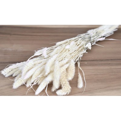 SETARIA ΛΕΥΚΑΜΕΝΟ 100gr 65cm 0970930 (1 τεμ.)